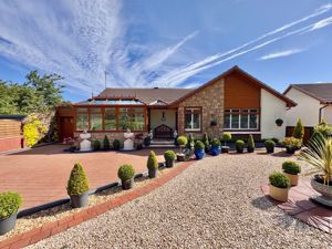 Photo 29- click for photo gallery